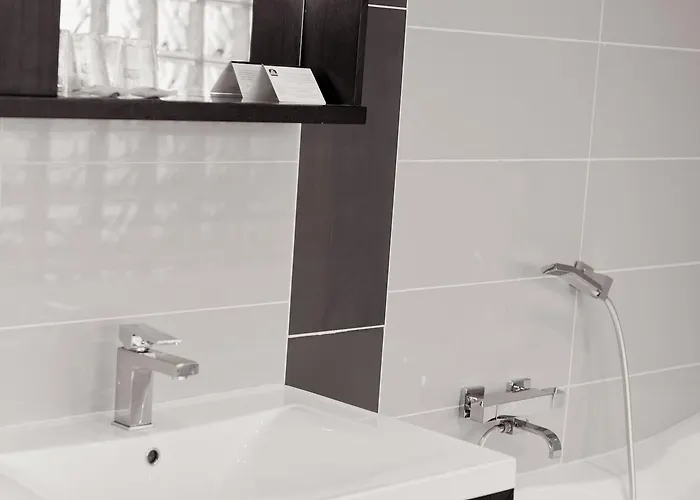 Continental Centre 3* Pau